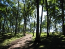 PICTURES/Effigy Mounds National Monument/t_Trail1.JPG